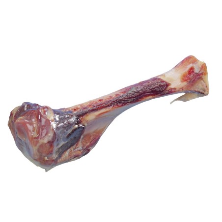 OSSO FEMUR DE PORCO CURADO NATURAL TAM 17 CM