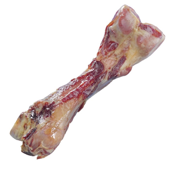 OSSO FEMUR DE PORCO CURADO NATURAL TAM 24 CM