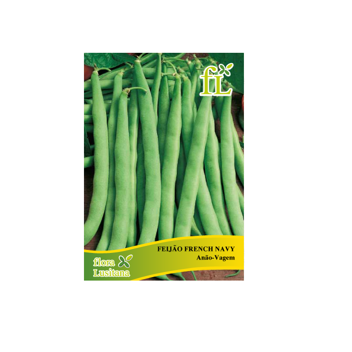 FEIJAO FRANCES ANAO VAGEM