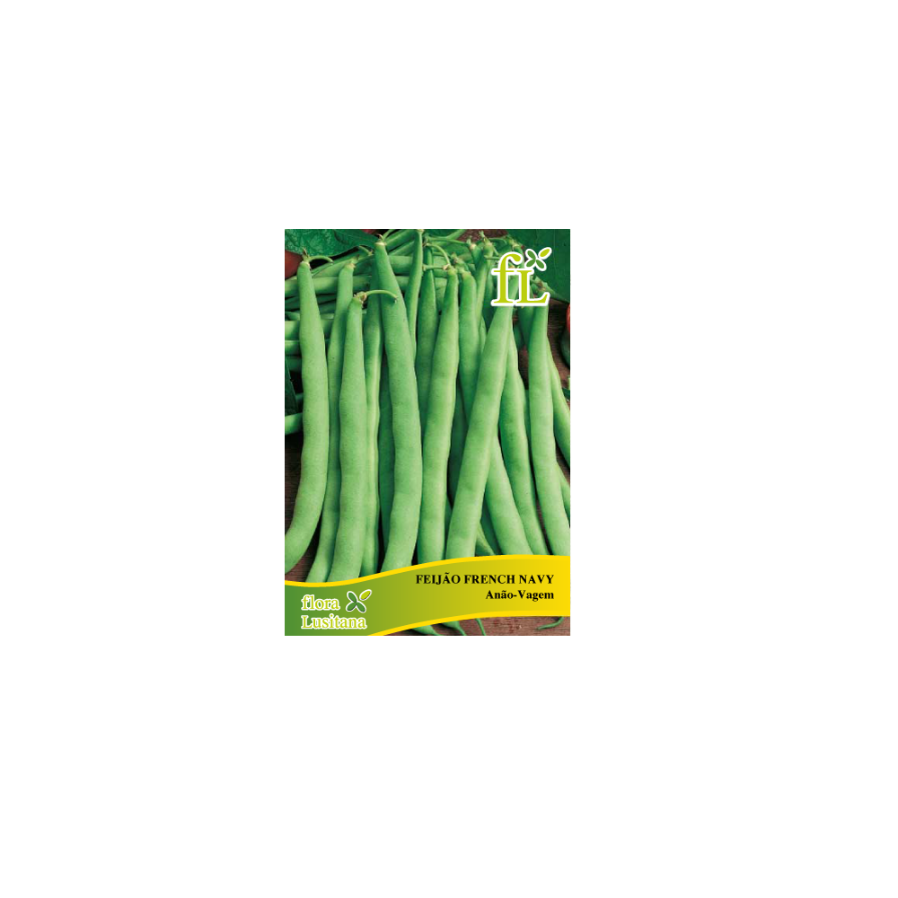 FEIJAO FRANCES ANAO VAGEM