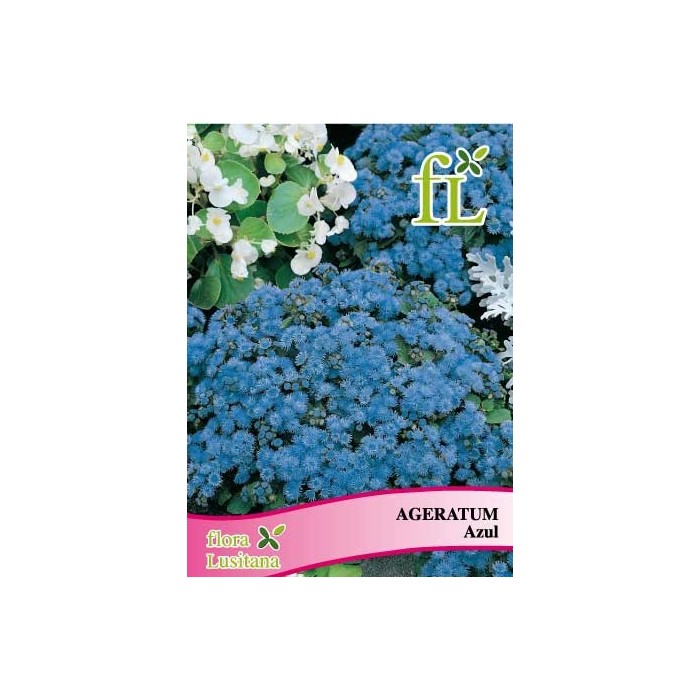 AGERATUM AZUL