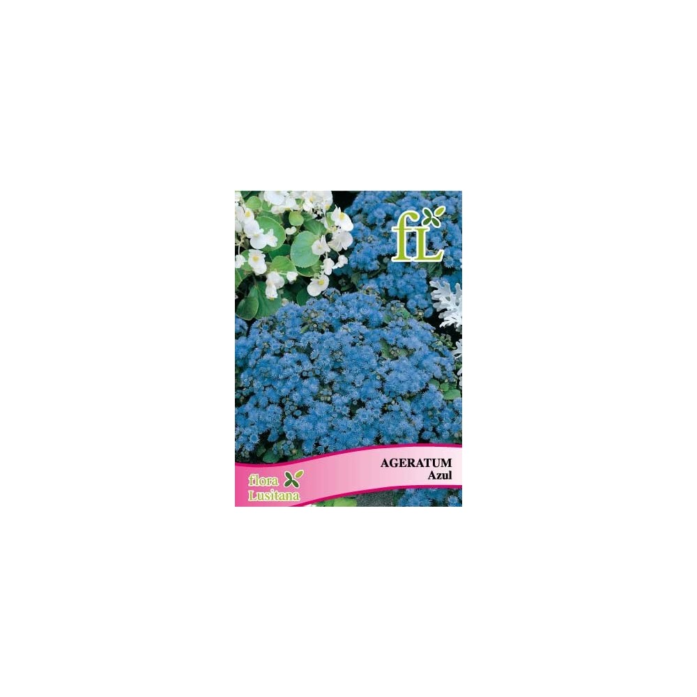 AGERATUM AZUL