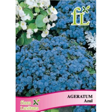 AGERATUM AZUL