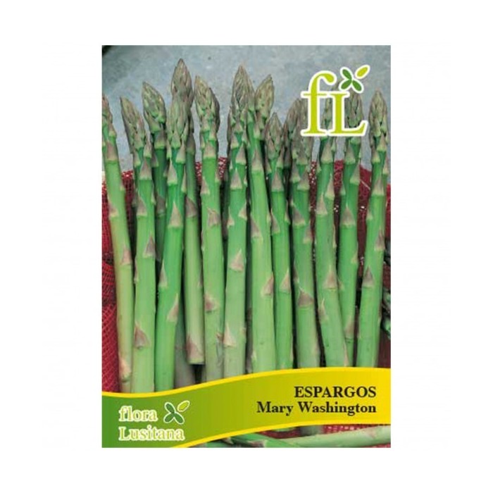 ESPARGOS MARY WASHINGTON