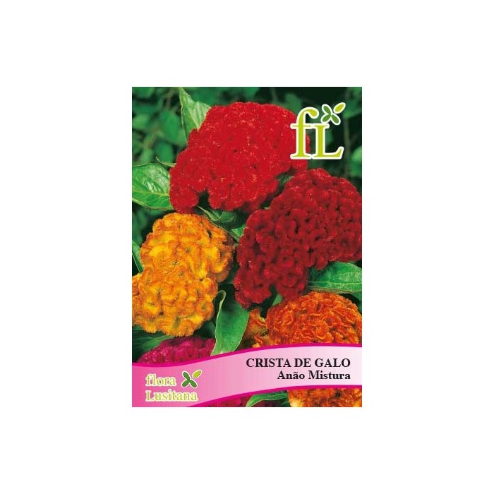CRISTA DE GALO ANÃO MISTURA