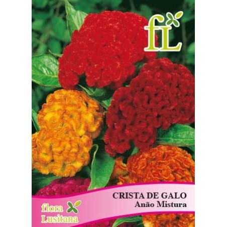 CRISTA DE GALO ANÃO MISTURA