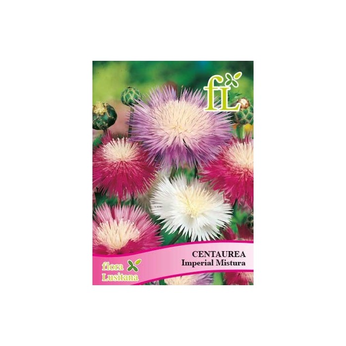 CENTAUREA IMPERIAL MISTURA