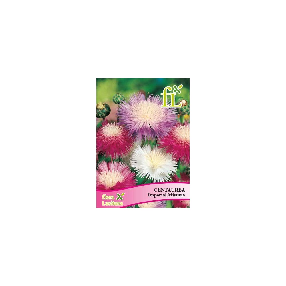 CENTAUREA IMPERIAL MISTURA