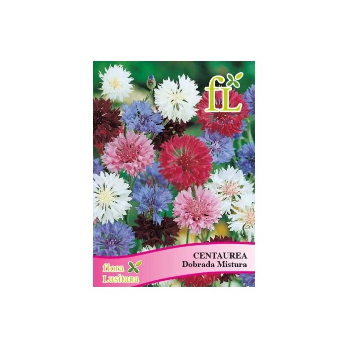 CENTAUREA DOBRADA MISTURA