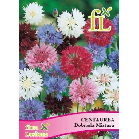 CENTAUREA DOBRADA MISTURA
