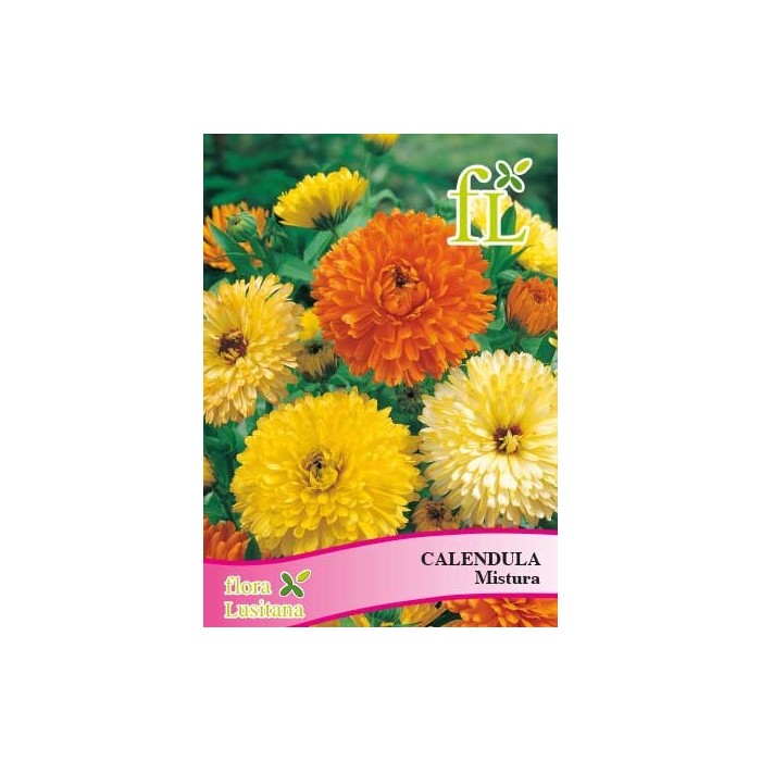 CALENDULA MISTURA