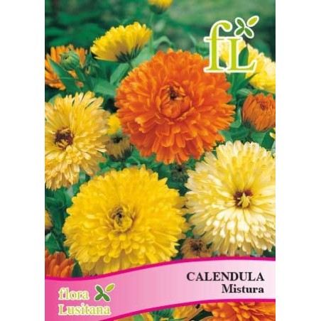 CALENDULA MISTURA