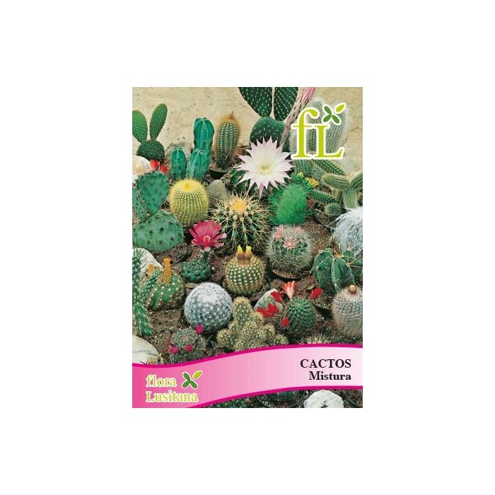 CACTOS MISTURA