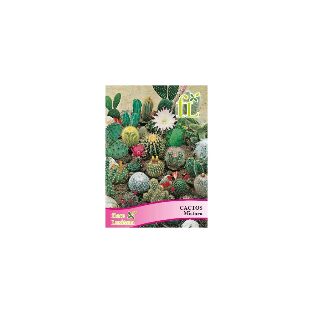 CACTOS MISTURA