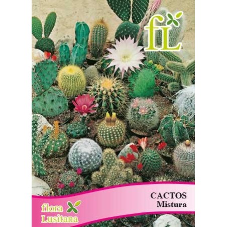 CACTOS MISTURA