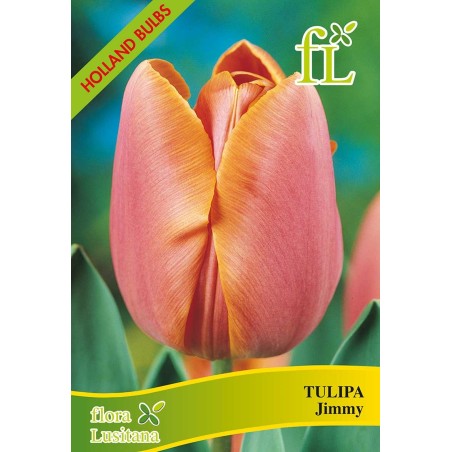 BOLBOS TULIPAS SORTIDAS