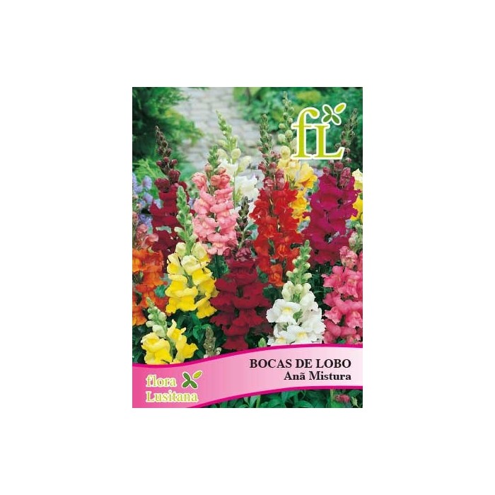 BOCAS DE LOBO ANA MISTURA