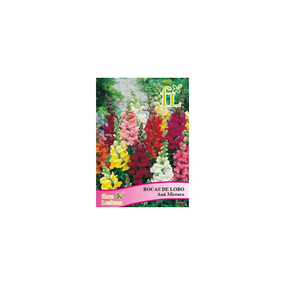 BOCAS DE LOBO ANA MISTURA