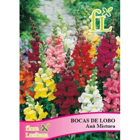 BOCAS DE LOBO ANA MISTURA