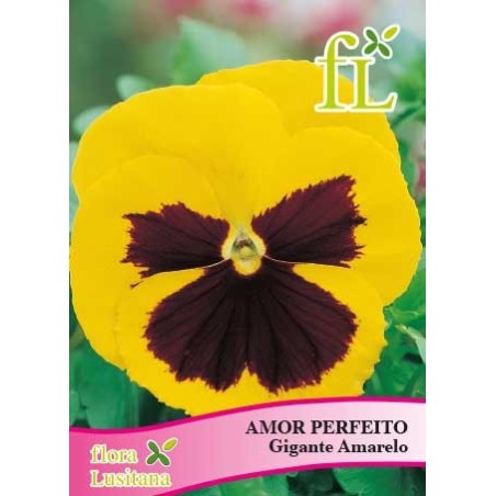 AMOR PERFEITO GIGANTE