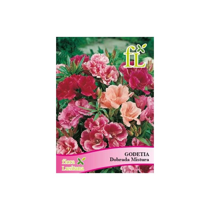 GODETIA DOBRADA MISTURA