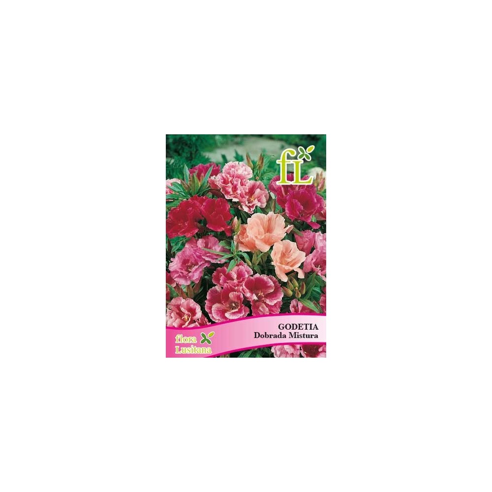 GODETIA DOBRADA MISTURA