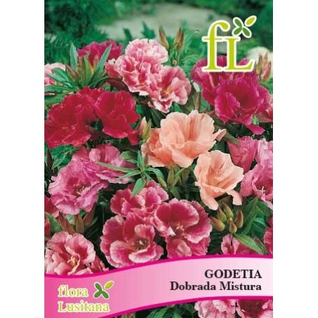 GODETIA DOBRADA MISTURA