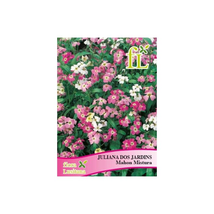 JULIANA MAHON MISTURA