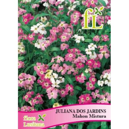 JULIANA MAHON MISTURA