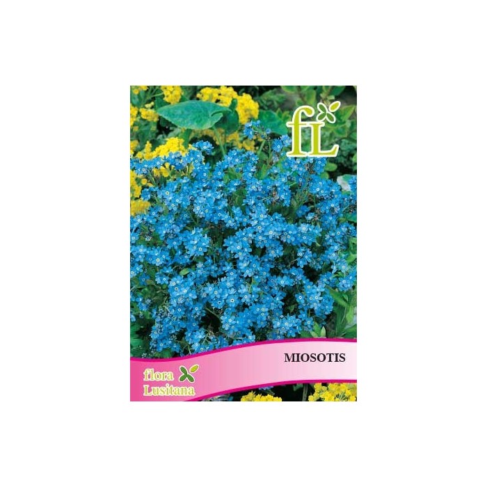 MIOSOTIS