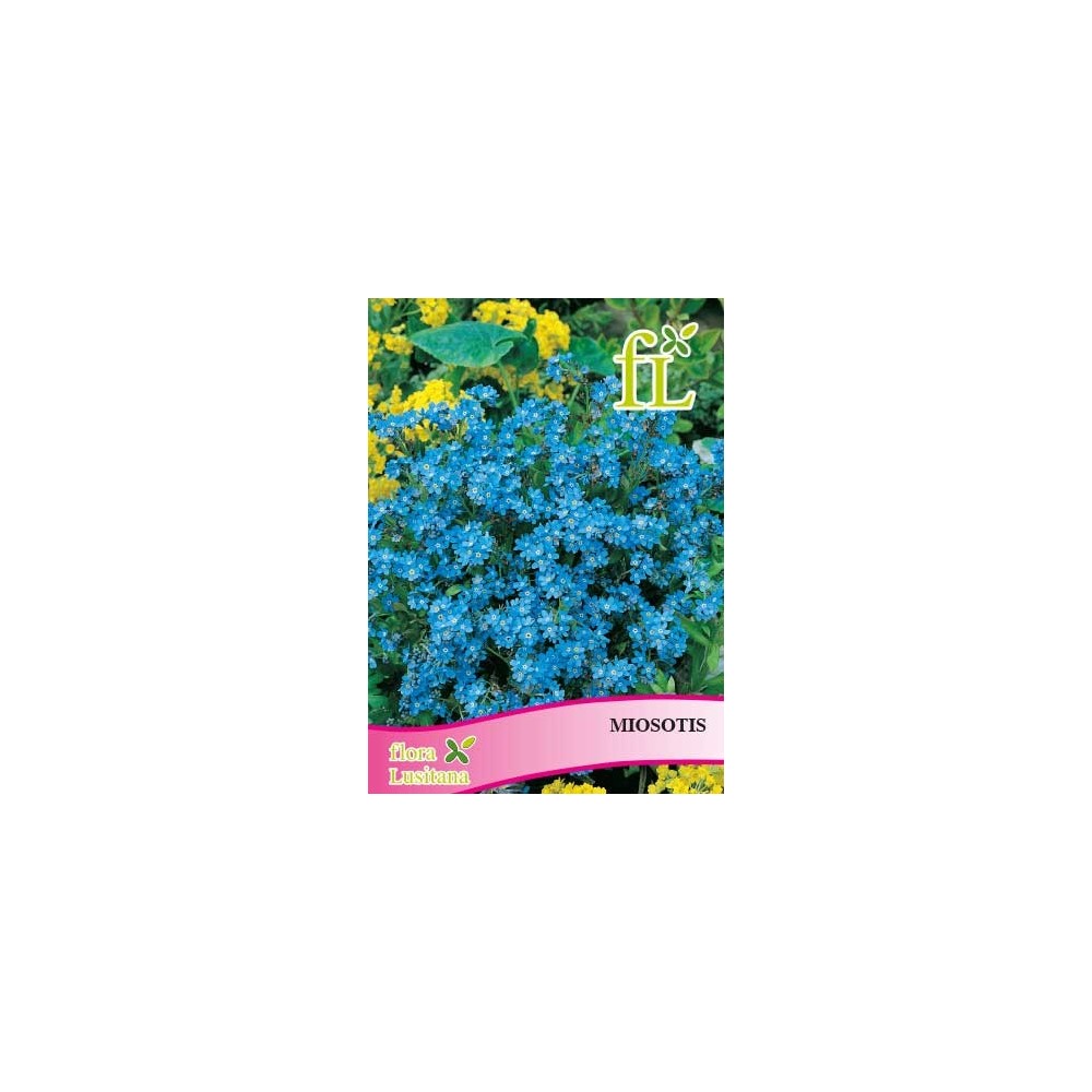 MIOSOTIS