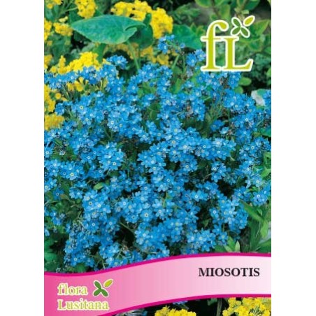 MIOSOTIS