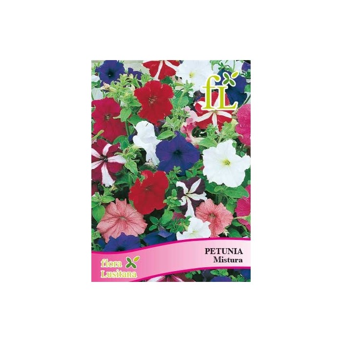 PETUNIA MIX