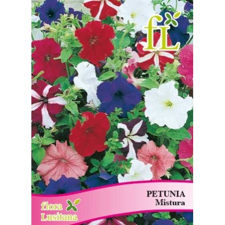PETUNIA MIX