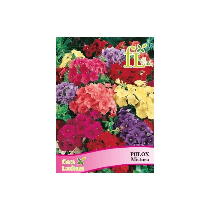 PHLOX MISTURA