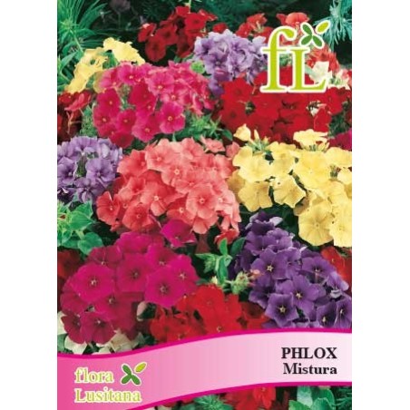 PHLOX MISTURA