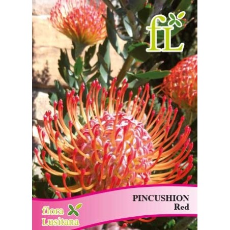 PINCUSHION RED