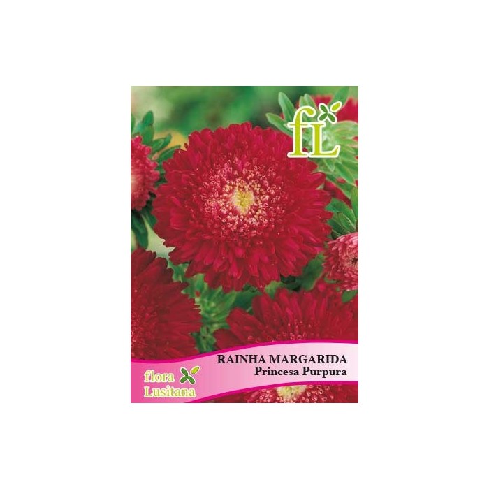RAINHA MARG. PRINCESA PURPURA