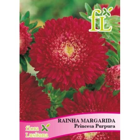 RAINHA MARG. PRINCESA PURPURA
