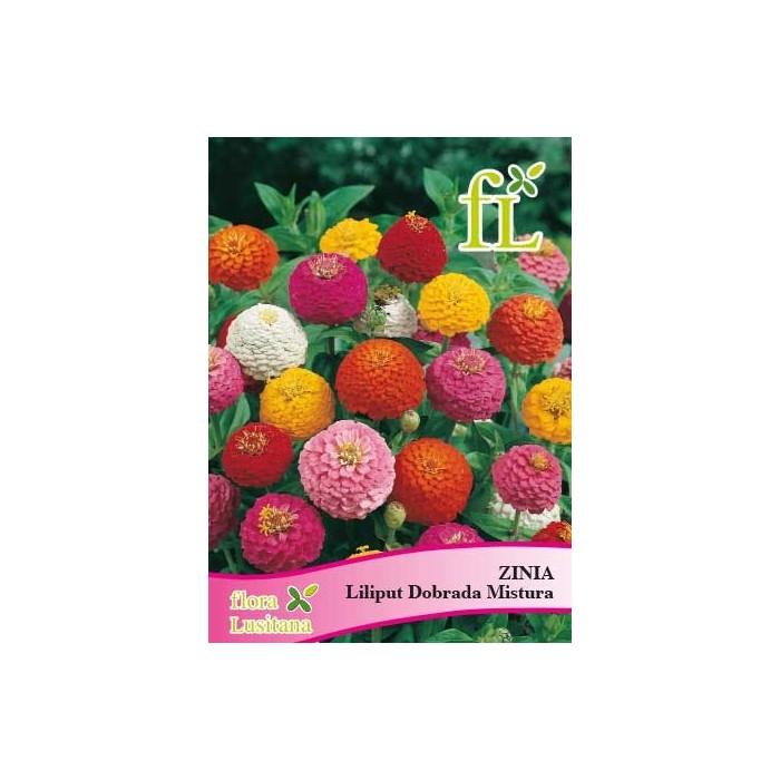 SEM. ZINIA LILIPUT DOBRADA MISTURA