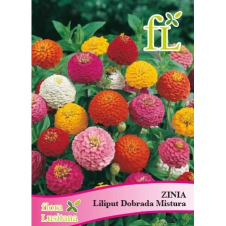 SEM. ZINIA LILIPUT DOBRADA MISTURA