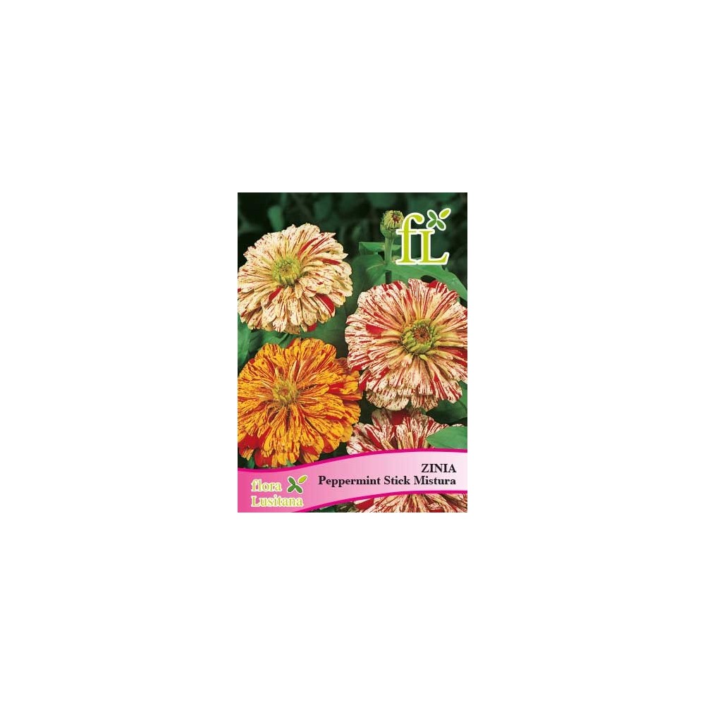 ZINIA PEPPERMINT STICK MISTURA