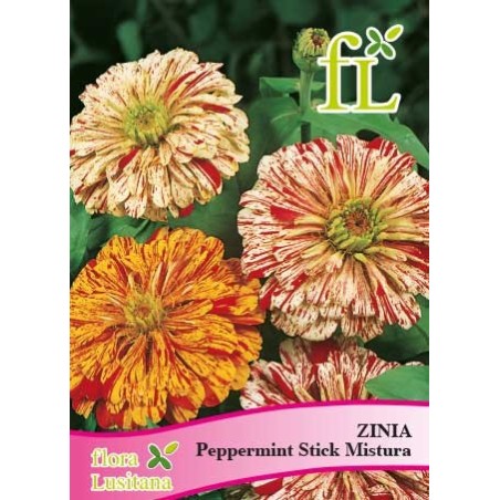ZINIA PEPPERMINT STICK MISTURA