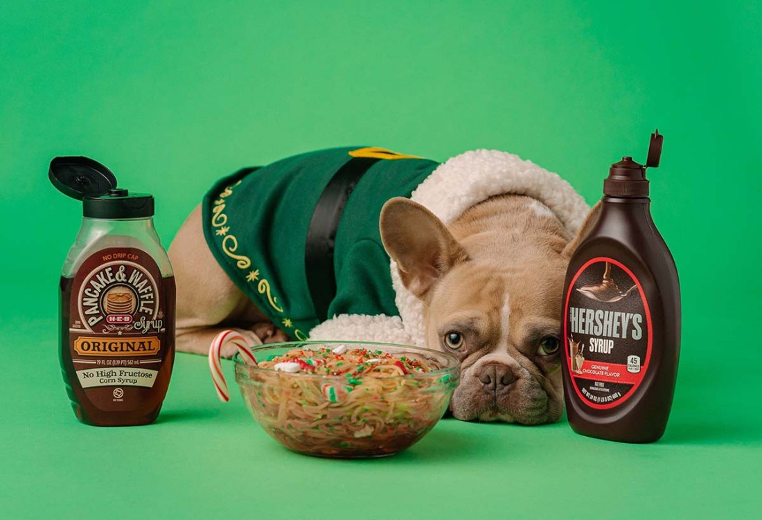 How To Choose The Right Bully Stick  For Your Dog