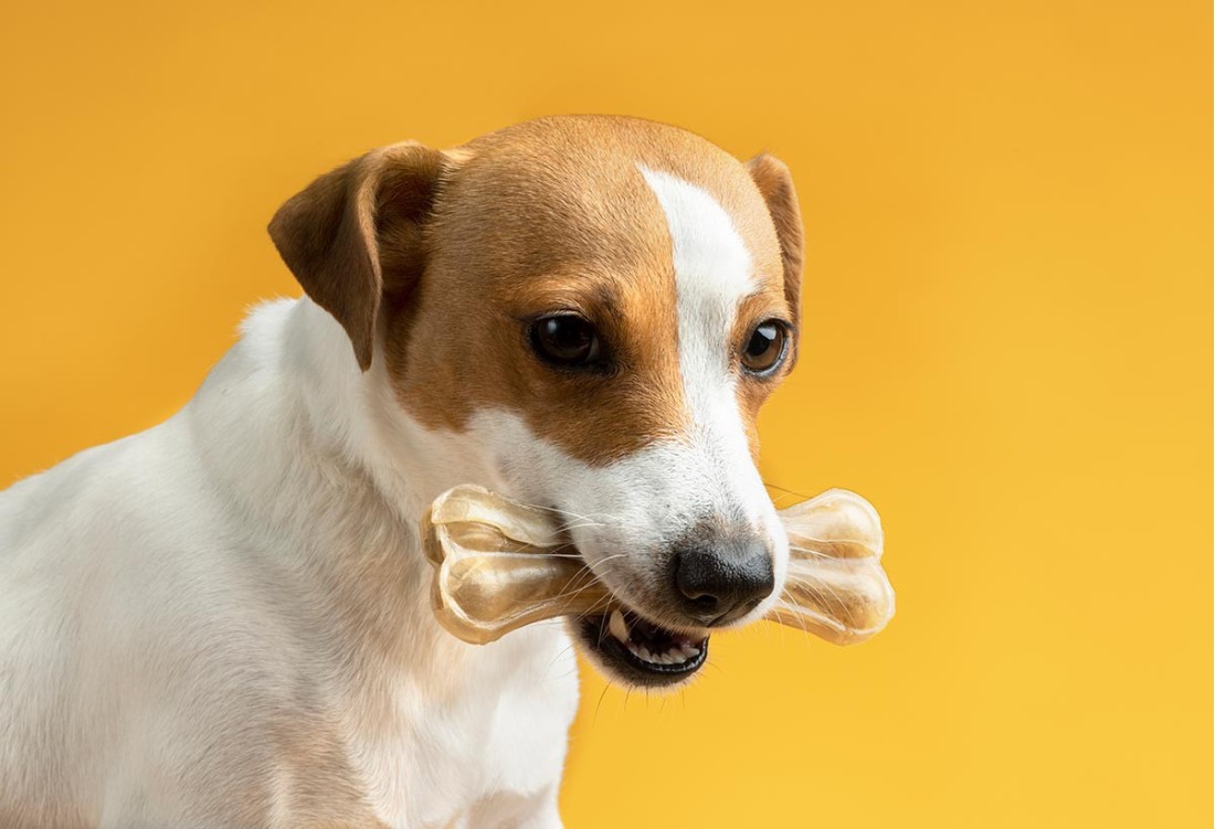 Suggest the necessary decorations for your home